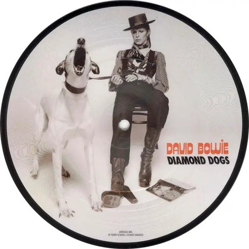 David bowie diamond dogs - bowie,
