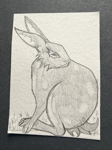 Carta artistica originale aceo - artistica,