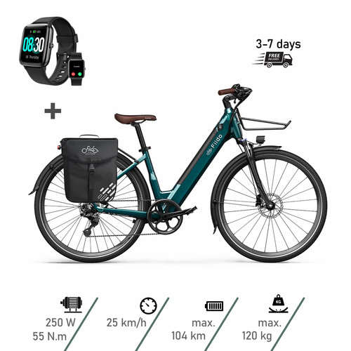 Fiido c11 pro bicicletta - c11,