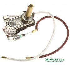 TERMOSTATO REGOLABILE + TERMOFUSIBILE FERRO DA STIRO POLTI M0003471 ORIGINALE