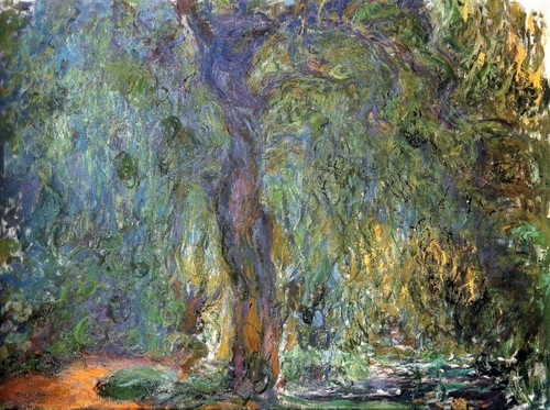 237 claude monet salice - 237,
