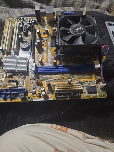 Scheda madre asus - asus, compaq