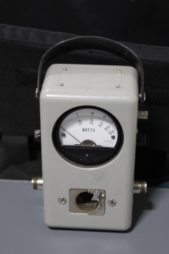 Wattmetro thruline bird - thruline, 43