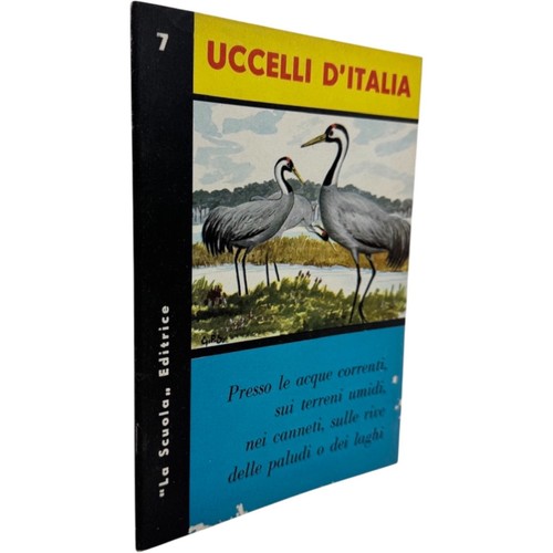 Uccelli acquatici palustri