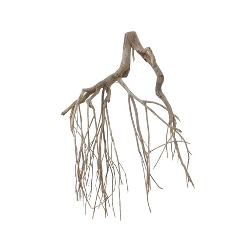Radice acquario decorazione - radice,