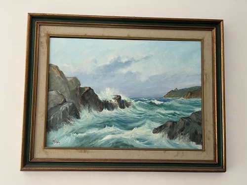 Mareggiata 50x70 millus olio - mareggiata,