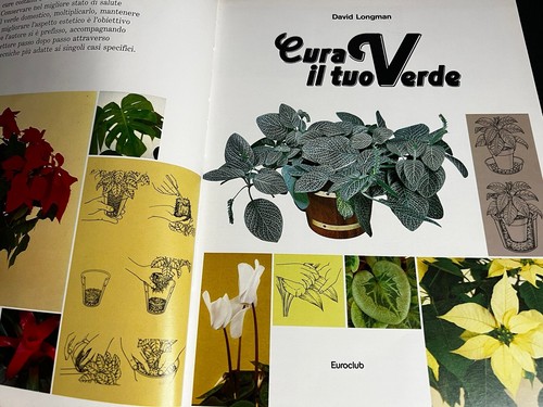 Cura tuo verde david - tuo,