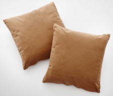 Set 2 cuscini per divano