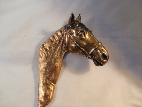 Testa cavallo fiorentino - testa,