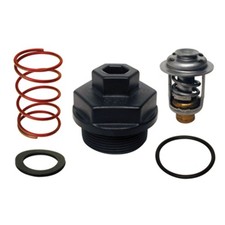 Kit Termostato Johnson