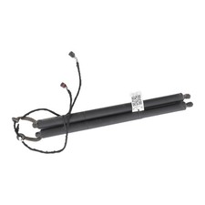 Coppia Pistoni Portellone