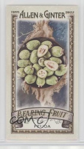 2022 topps allen - allen, ginter
