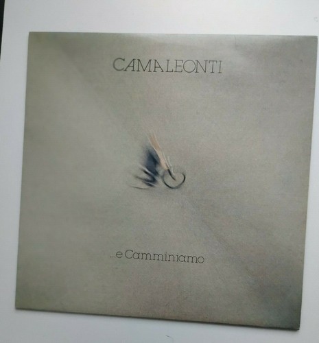 Camaleonti e camminiamo - camaleonti,