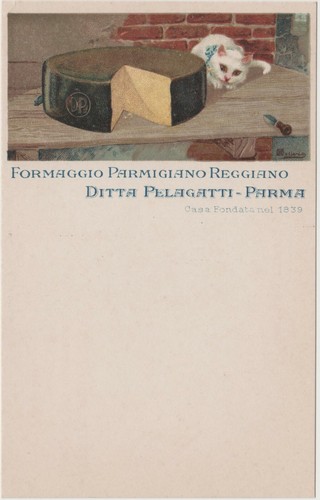 Parma formaggio parmigiano - -,