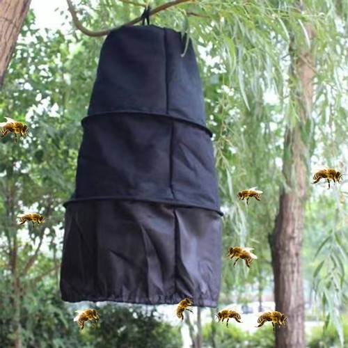Sacco cattura sciami con - cattura,