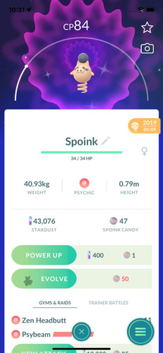 Pokemon shiny spoink - shiny, (2019)