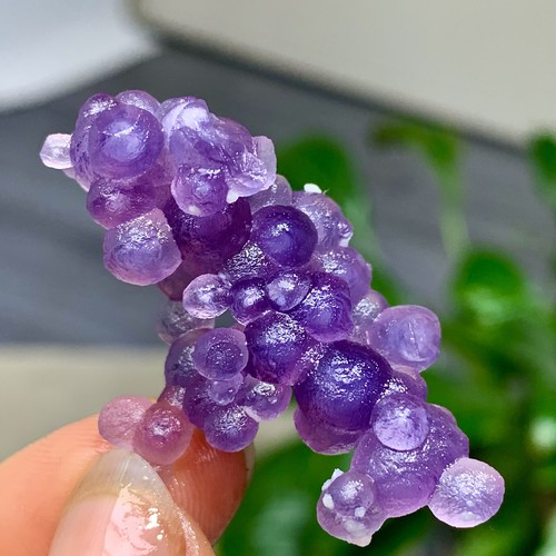 10g agata uva viola naturale - 10g,