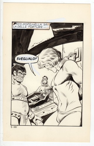 Leone frollo tavola - leone,