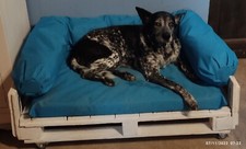 Divani Su Misura Per Cani E Gatti -preventivo su richiesta