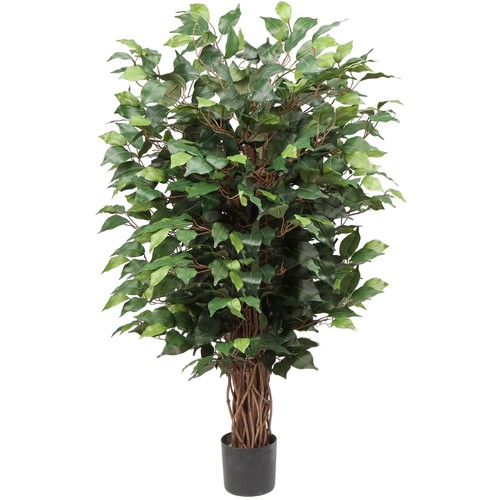 Ficus benjamini pianta finta - ficus,