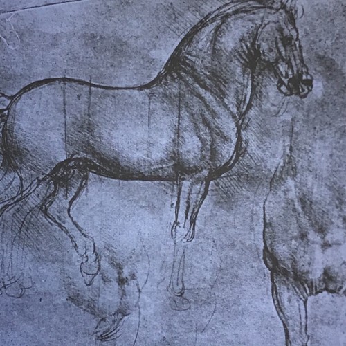 Alinari collotipia lastre - alinari,