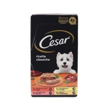 SET 6 CONFEZION CESAR