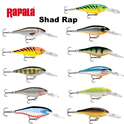 Rapala shad rap cm esca - shad,