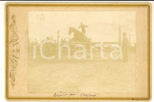 1901 TREVISO IPPICA Cavallo