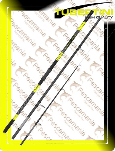 Canna tubertini surf casting - canna,