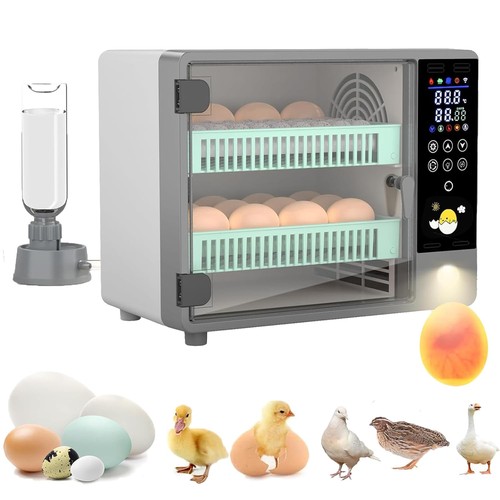 Incubatrice per uova 50 - incubatrice,