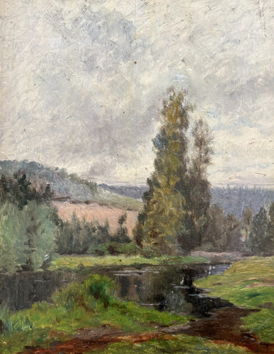 Paesaggio foresta alberi - paesaggio,,