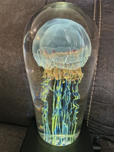 Fermacarte scultura meduse