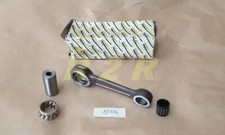 BIELLA MINARELLI P6  (gabbia argentata)