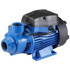 Elettropompa Autodescante Autoclave Periferica 0,5 HP 370 W Pompa Girante Ottone