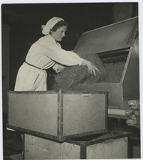 Italia, Industria, operatore