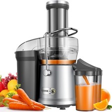 1200W Electric Juicer Fruit