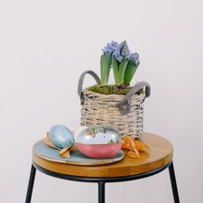  Scatole Decorative Con