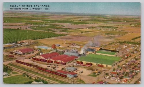Cartolina weslaco texsun - weslaco, tx