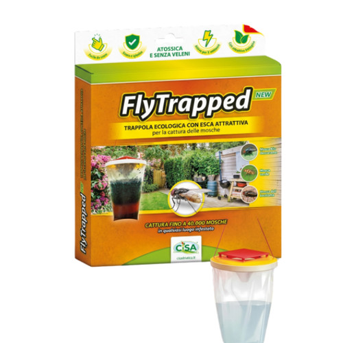 Trappola per mosche - trappola,