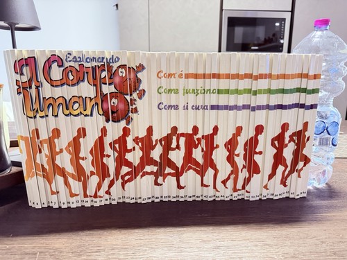 Esplorando corpo umano de - corpo,