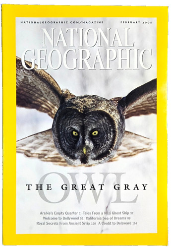 The great gray - the,
