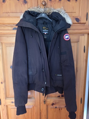 Canada goose chilliwack - canada,
