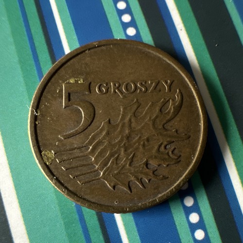 Polonia groszy 2003 2008 - groszy, /