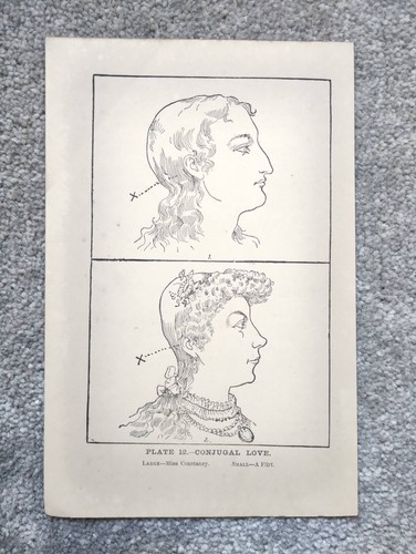 Conjugal love phrenology - conjugal,