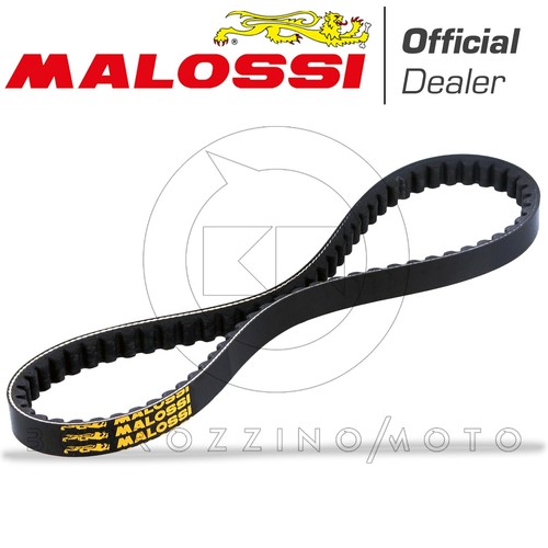 Cinghia trasmissione malossi - cinghia,