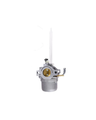Briggs stratton carburatore - &,