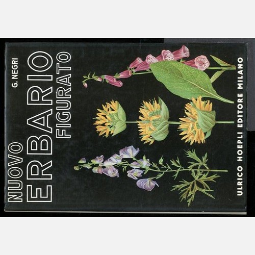 Nuovo erbario figurato - nuovo,