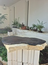 Lastra composita per boschetto bonsai – leggera, resistente e flessibile (73×38)