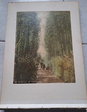 24 Fotografie Stampa