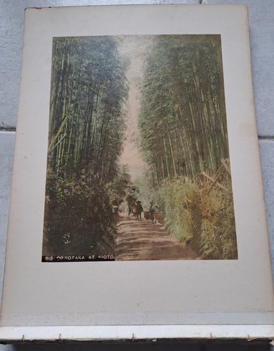 Fotografie stampa - fotografie,